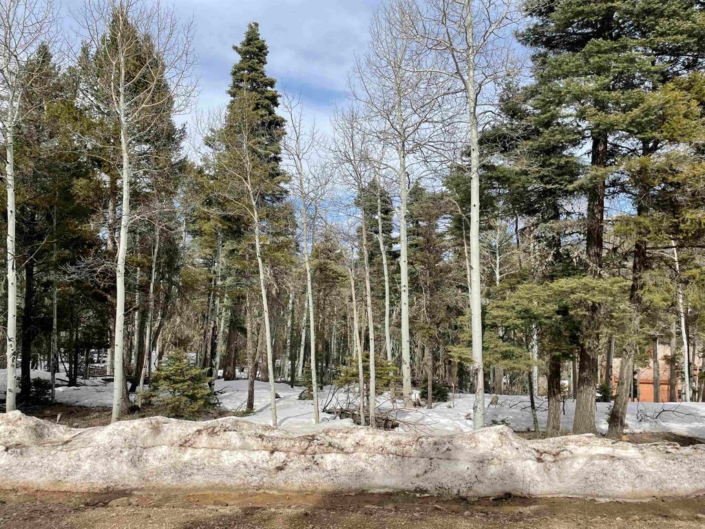 Photo of Lot 337 Rio Arriba, Angel Fire, NM 87710 (MLS # 110041)