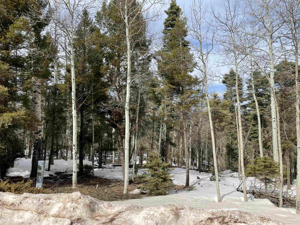 Photo of Lot 337 Rio Arriba, Angel Fire, NM 87710 (MLS # 110041)