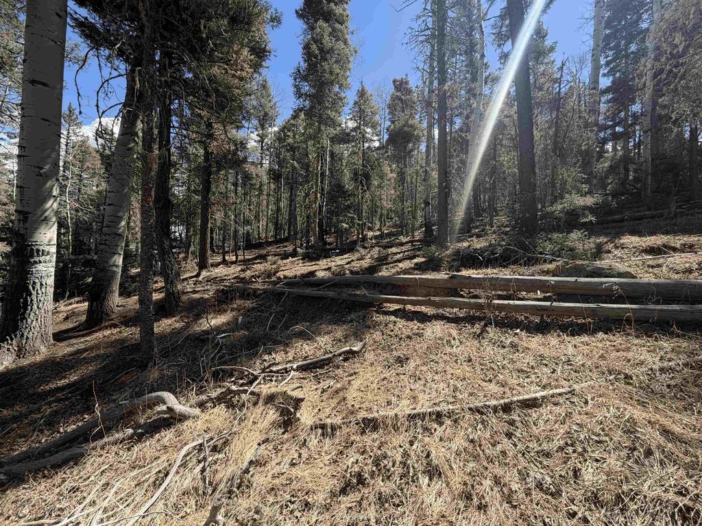Photo of Lot 1283 Via Del Rey, Angel Fire, NM 87710 (MLS # 114740)