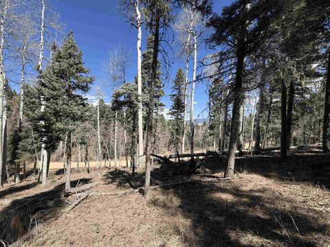 Vacant Land For Sale - LOT 1283 Via Del Rey<br/> Angel Fire, NM 87710