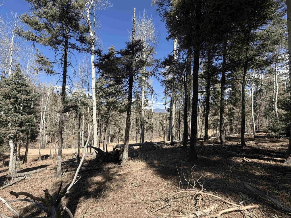 Photo of Lot 1283 Via Del Rey, Angel Fire, NM 87710 (MLS # 114740)