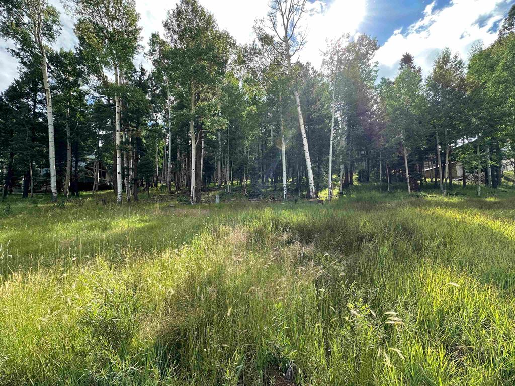 Photo of Lot 577 El Camino Real, Angel Fire, NM 87710 (MLS # 112281)