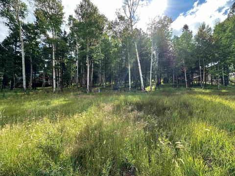 Photo of Lot 577 El Camino Real, Angel Fire, NM 87710 (MLS # 112281)
