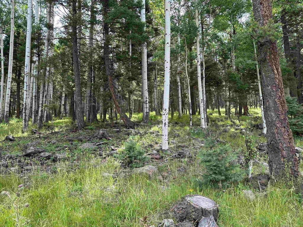 Photo of Lot 577 El Camino Real, Angel Fire, NM 87710 (MLS # 112281)