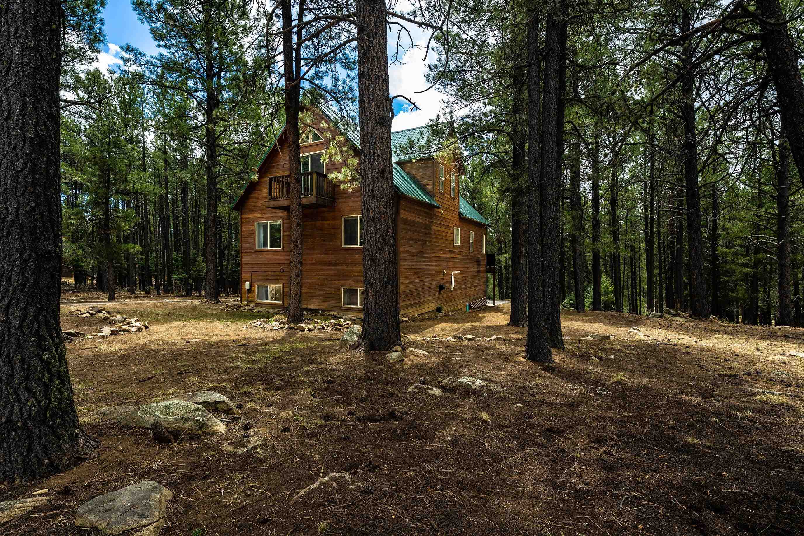 81 Conchas Dr, Angel Fire, New Mexico image 31