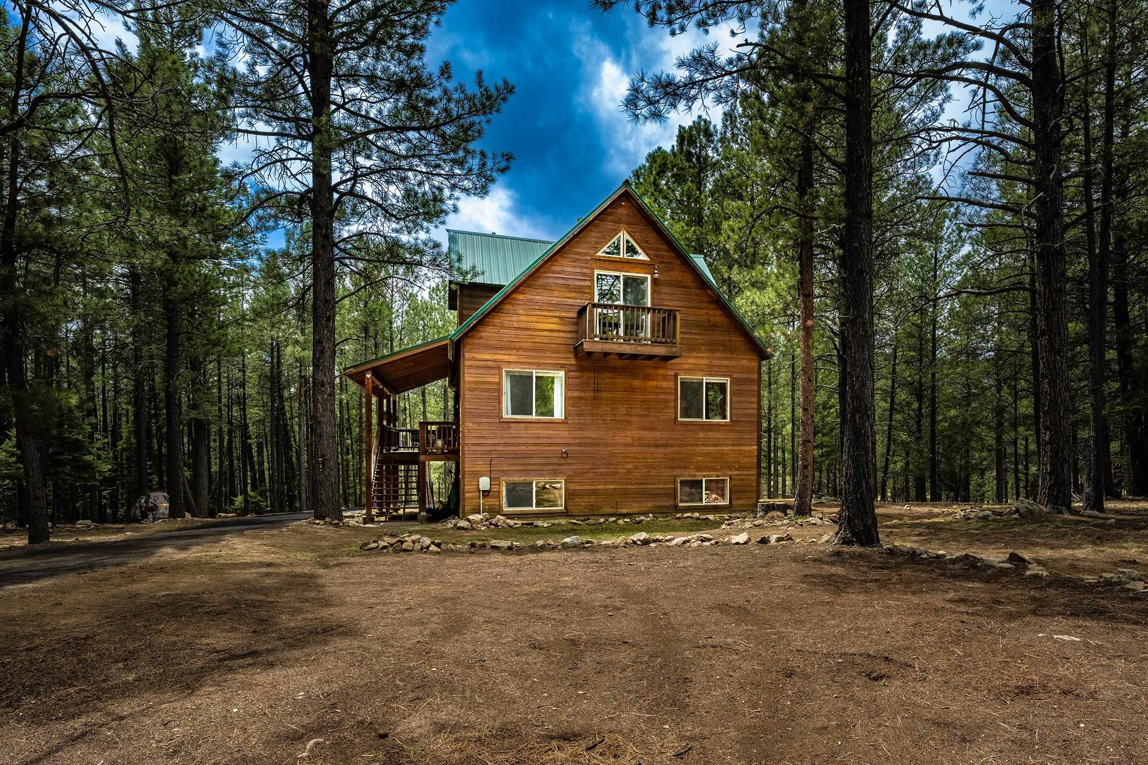 81 Conchas Dr, Angel Fire, New Mexico image 30
