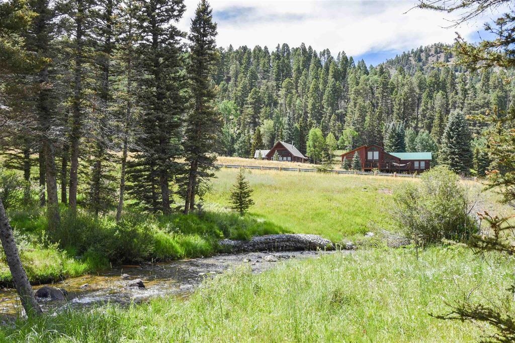 Upper Valley Road, Red River, New Mexico image 5