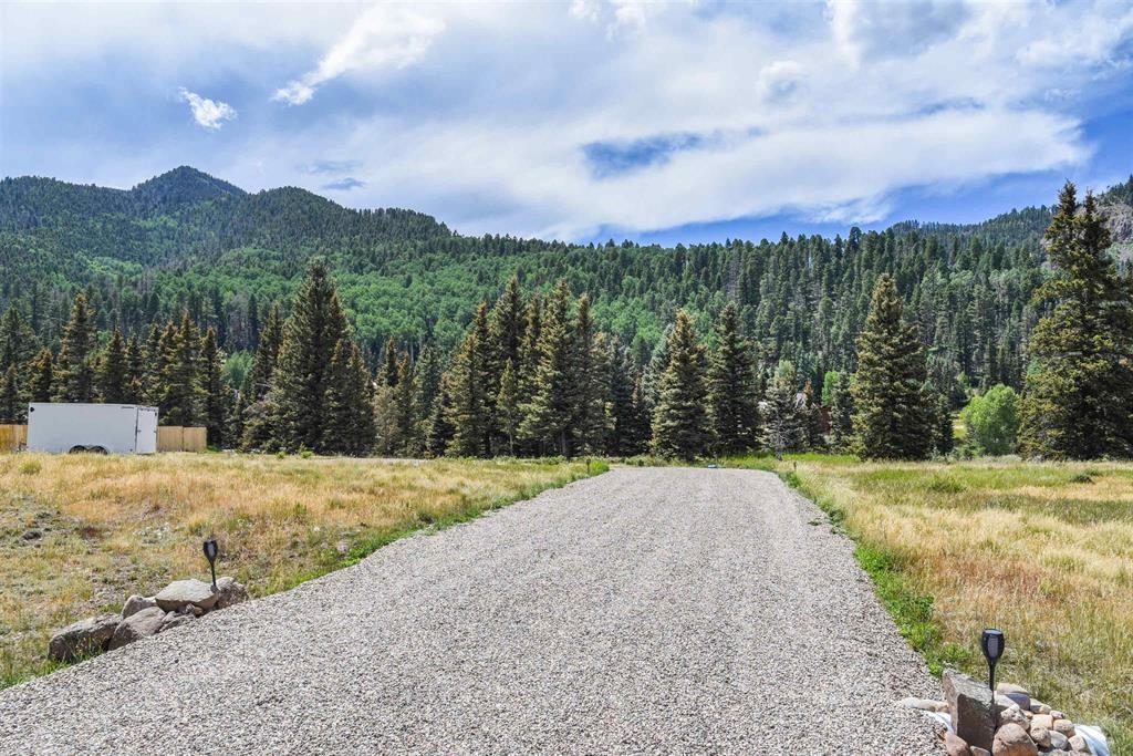 Upper Valley Road, Red River, New Mexico image 11