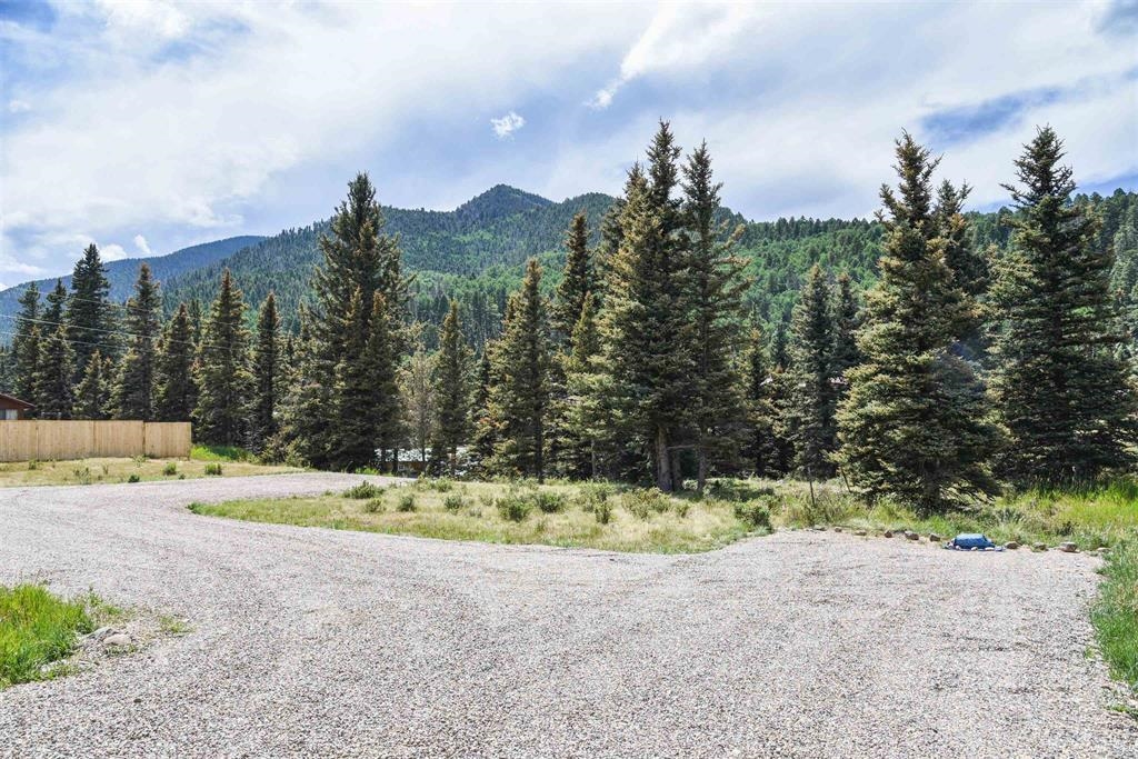 Upper Valley Road, Red River, New Mexico image 12