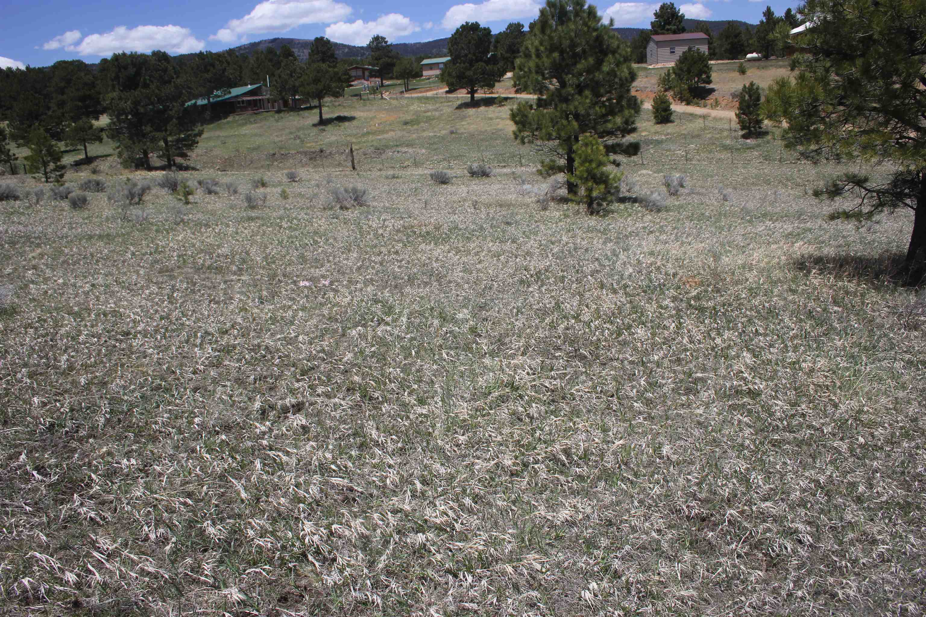 TBD Mesa Road, Eagle Nest, New Mexico image 9
