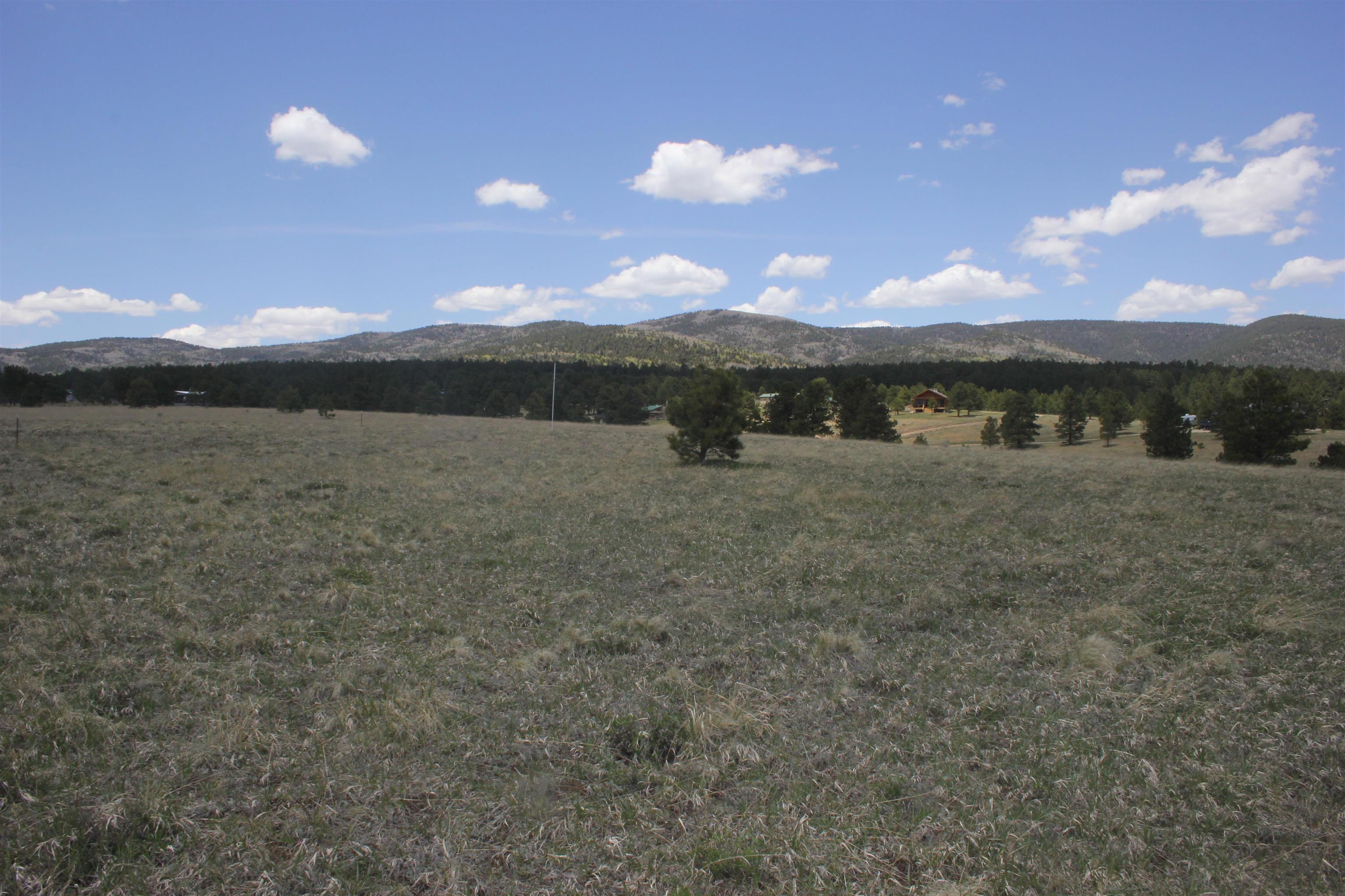 TBD Mesa Road, Eagle Nest, New Mexico image 2