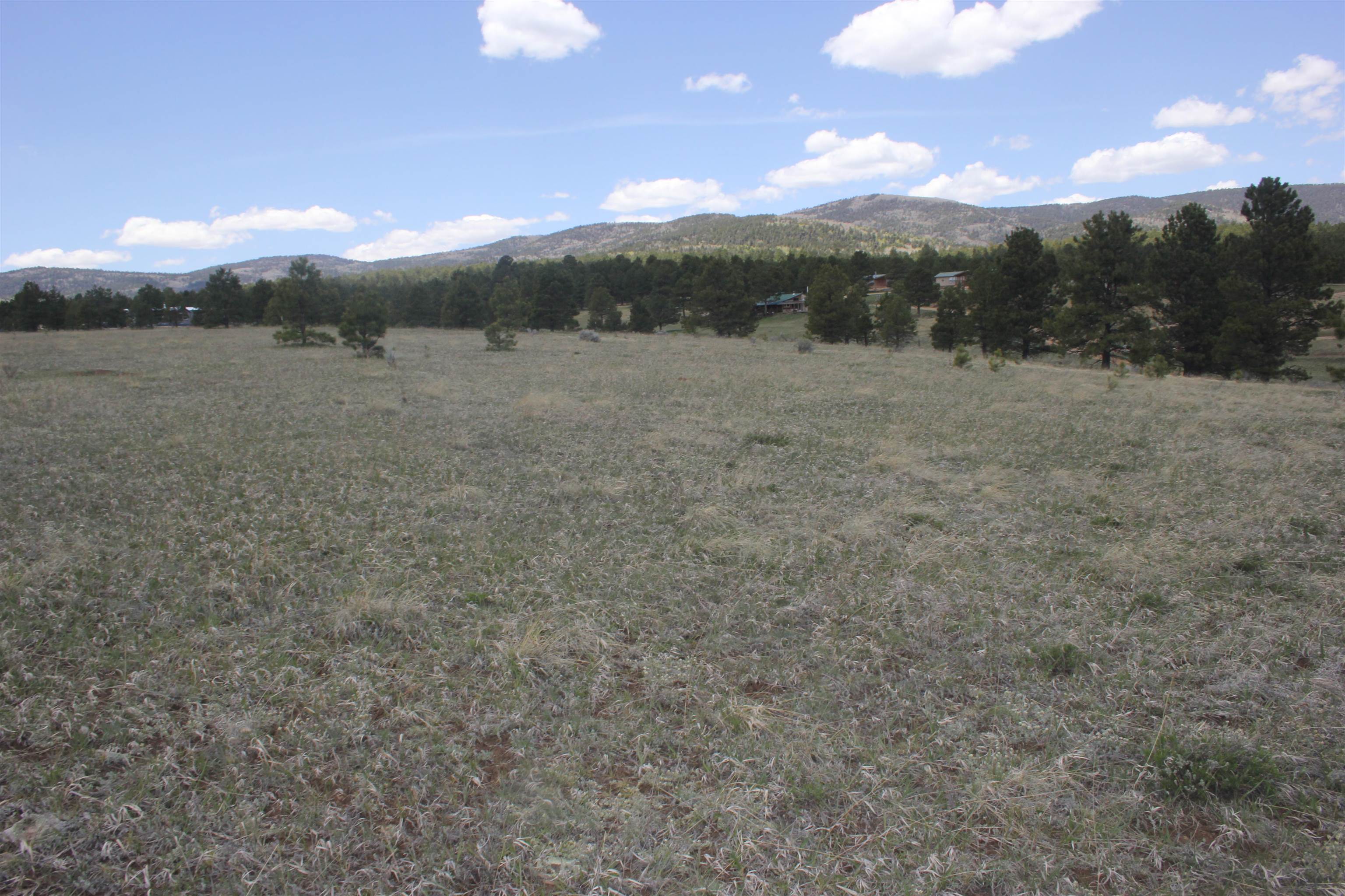 TBD Mesa Road, Eagle Nest, New Mexico image 5