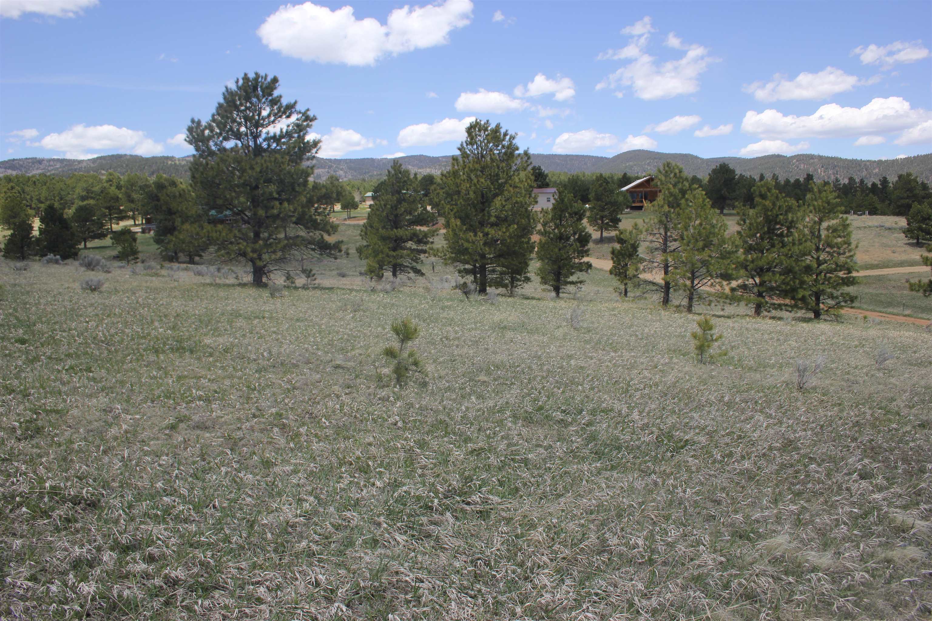 TBD Mesa Road, Eagle Nest, New Mexico image 7