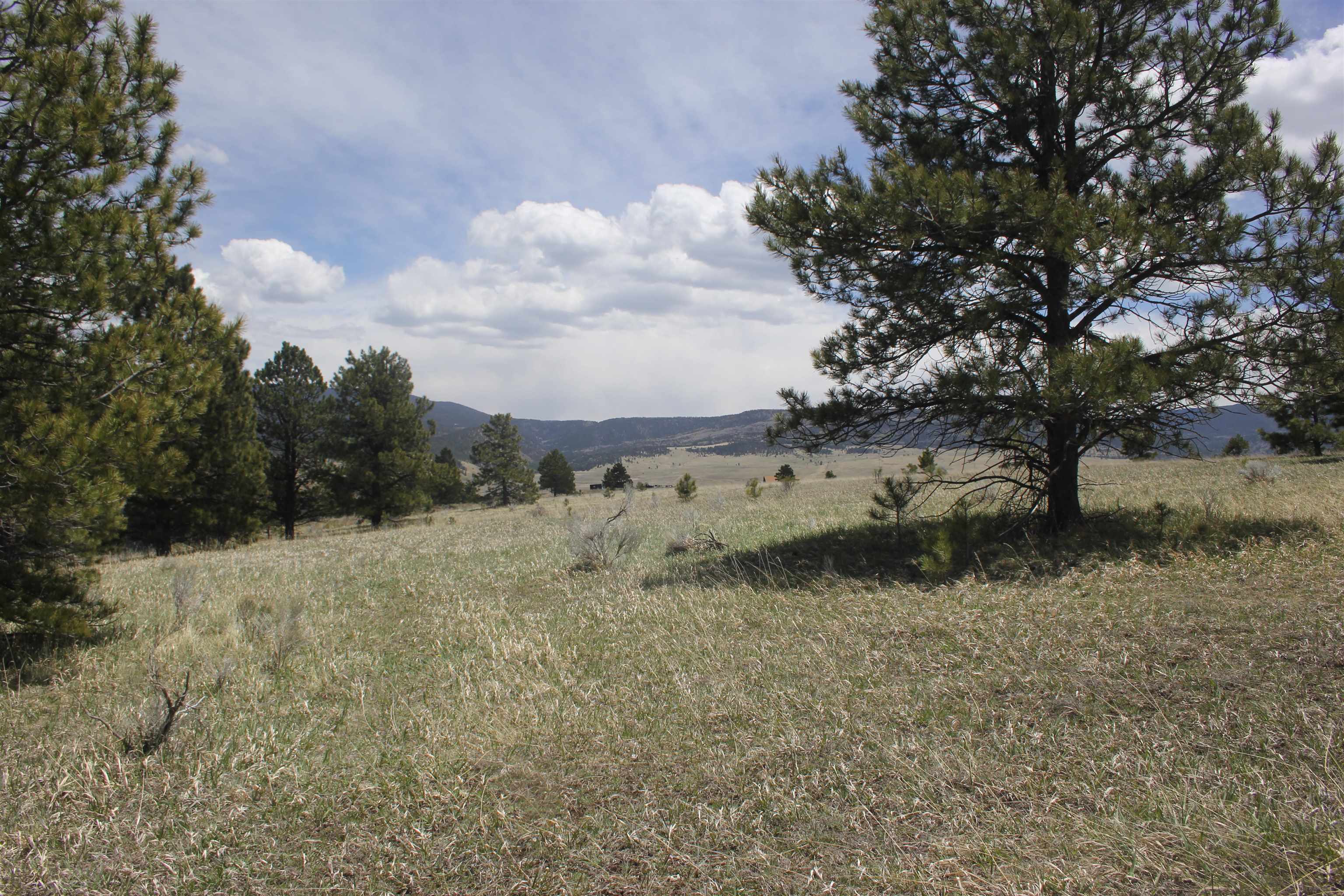 TBD Mesa Road, Eagle Nest, New Mexico image 10