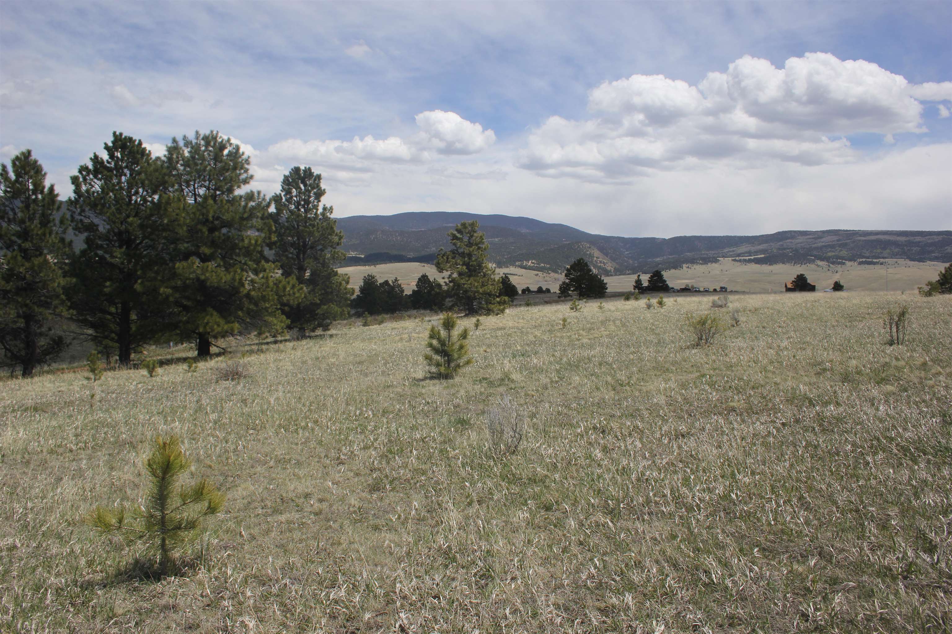 TBD Mesa Road, Eagle Nest, New Mexico image 8