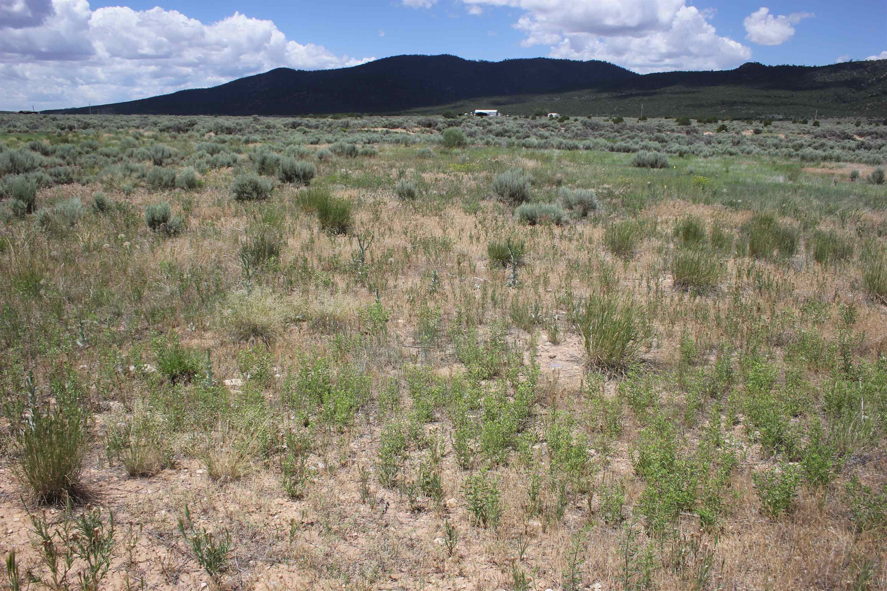 Lots 9 And 10 Shirley Drive, Questa, New Mexico image 3