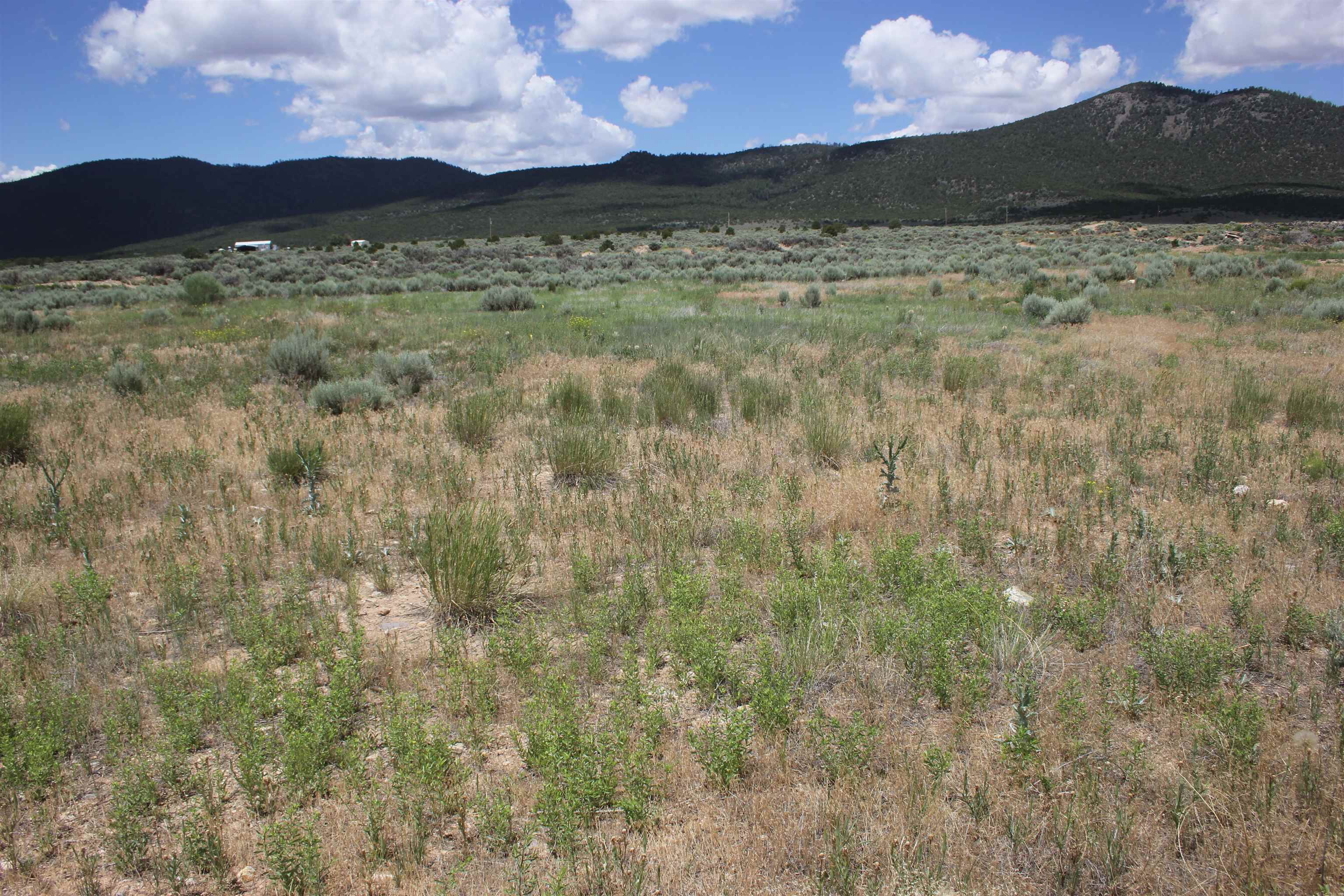 Lots 9 And 10 Shirley Drive, Questa, New Mexico image 1