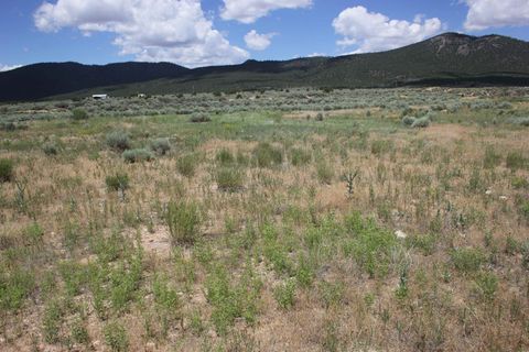 Vacant Land For Sale - LOT 10 Shirley Drive<br/> Questa, NM 87556