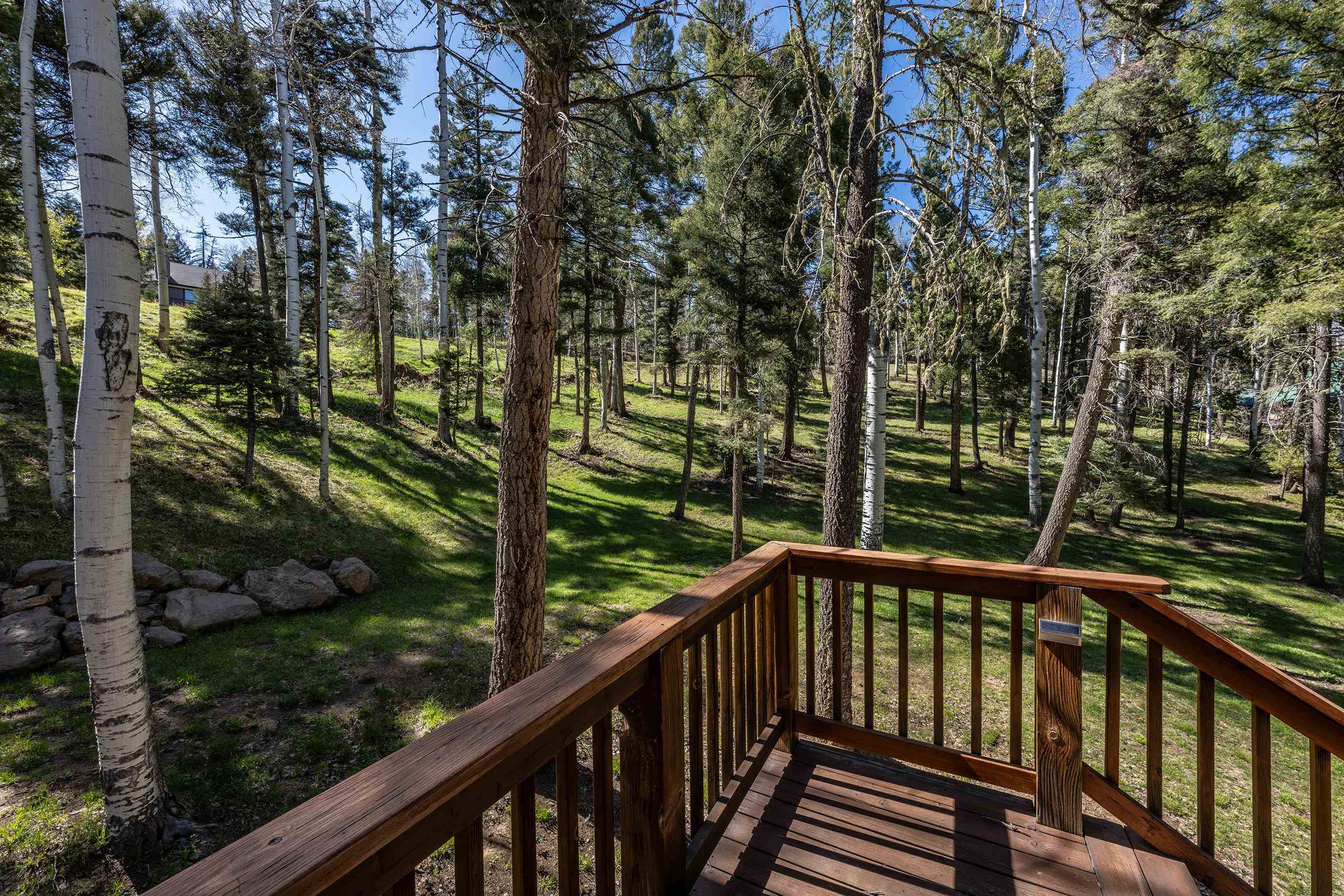 41 Taos Dr, Angel Fire, New Mexico image 34