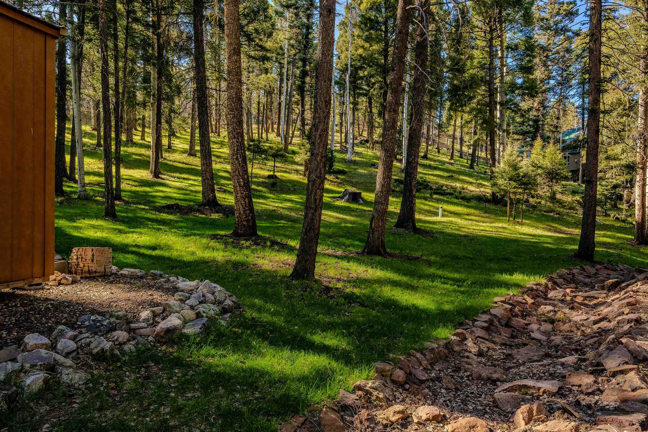 41 Taos Dr, Angel Fire, New Mexico image 39