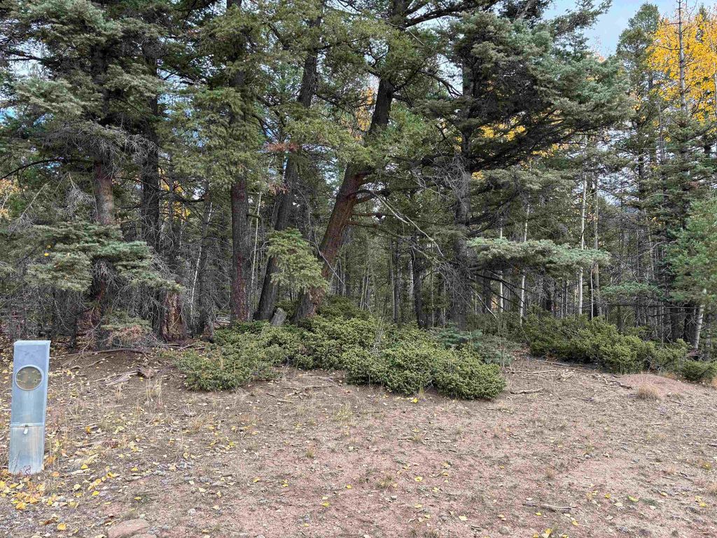Photo of TBD Royal Ave, Angel Fire, NM 87710 (MLS # 111503)