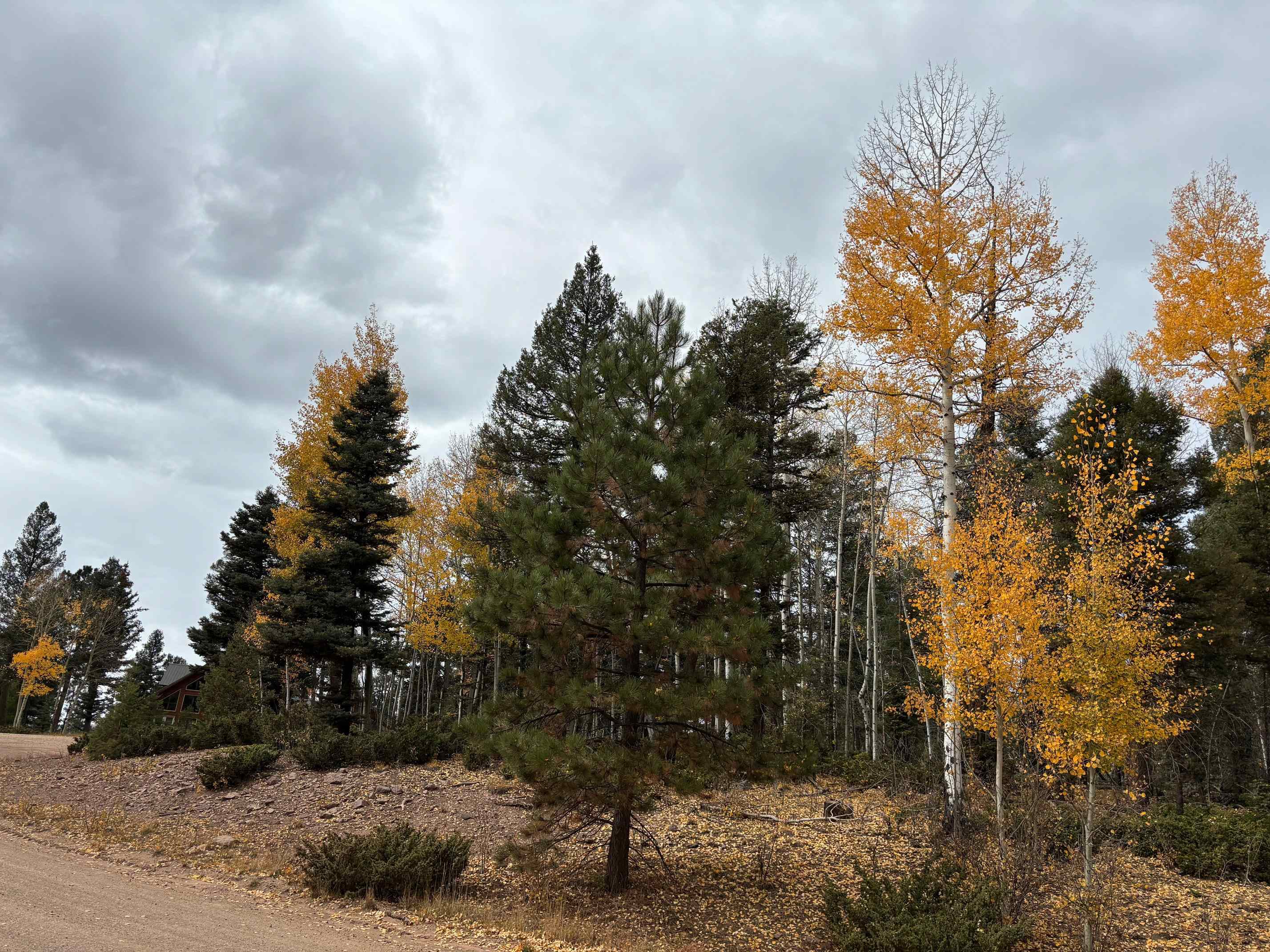 TBD Royal Ave, Angel Fire, New Mexico image 10