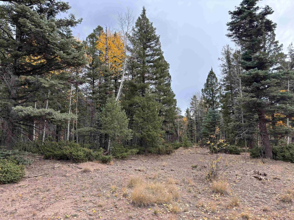 Photo of TBD Royal Ave, Angel Fire, NM 87710 (MLS # 111503)