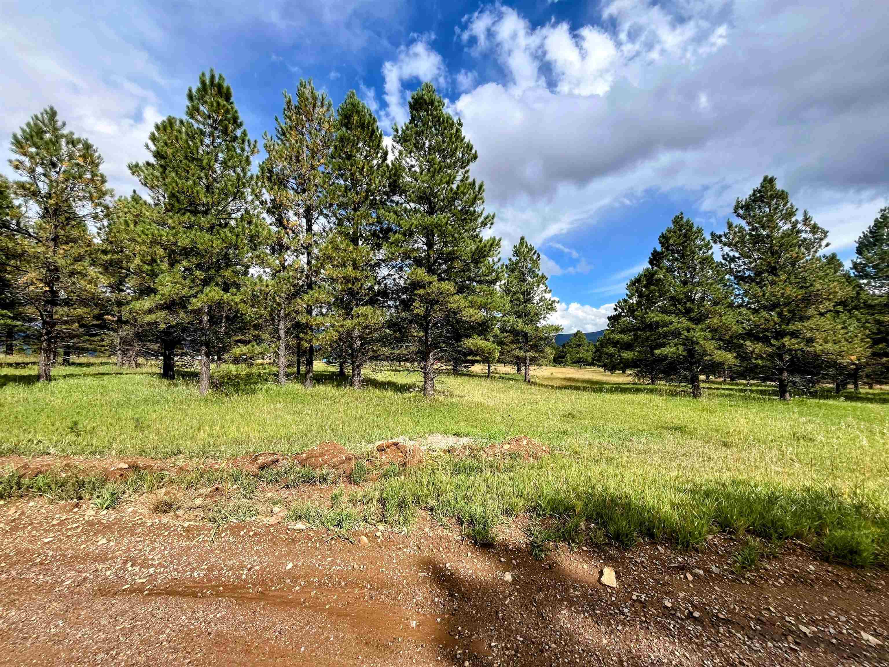 Lot 5 Pino, Angel Fire, New Mexico image 2