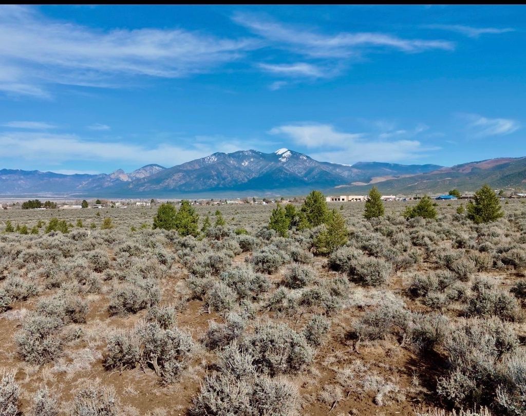 Photo of 299 Morgan Rd, Taos, NM 87571 (MLS # 114347)