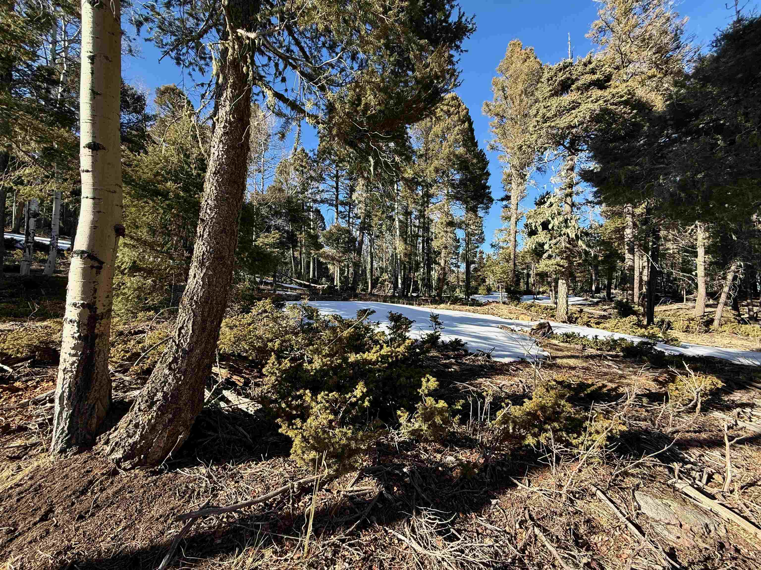 Lot 90 Zia Rd, Angel Fire, New Mexico image 13