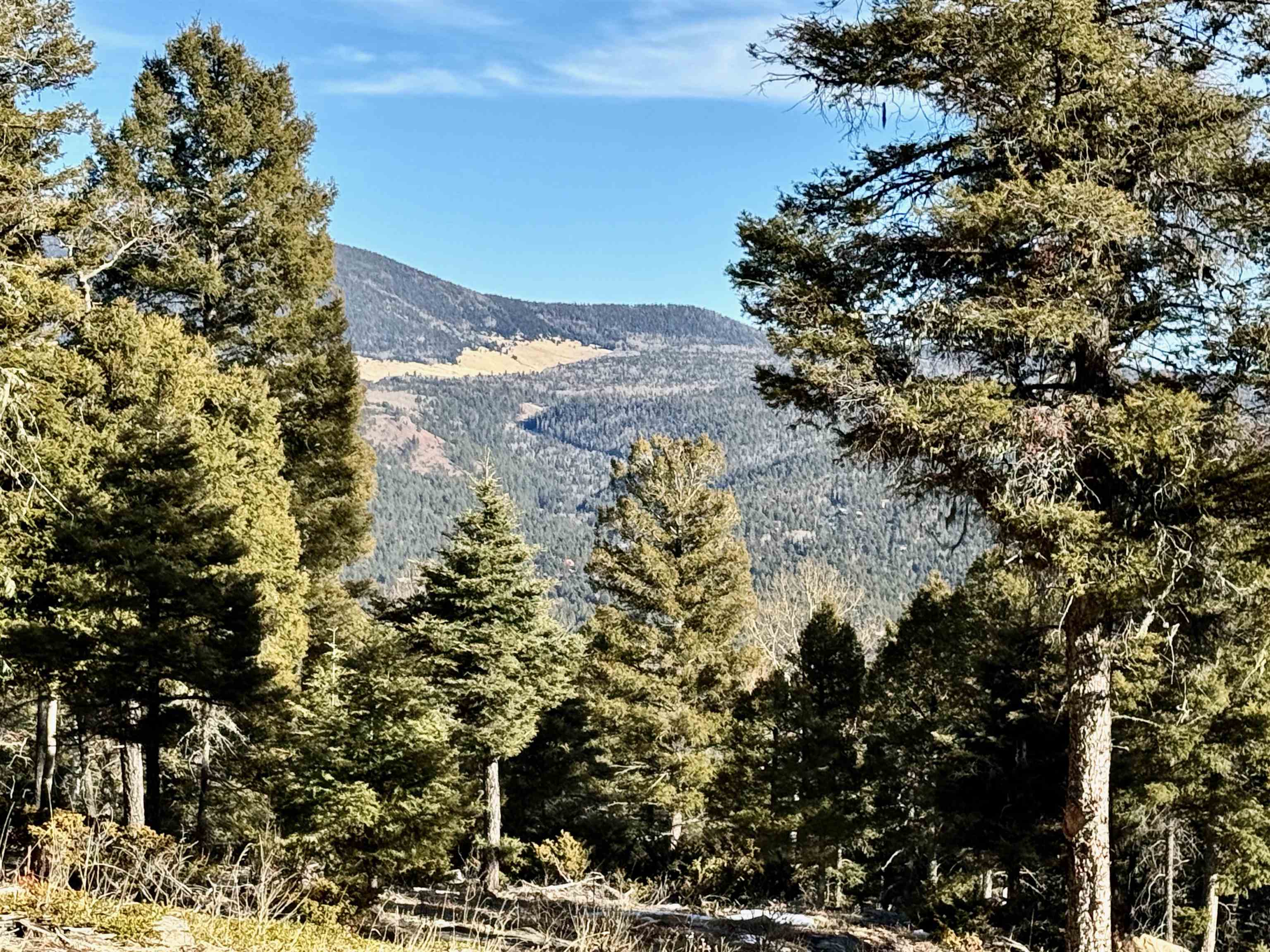 Lot 90 Zia Rd, Angel Fire, New Mexico image 20