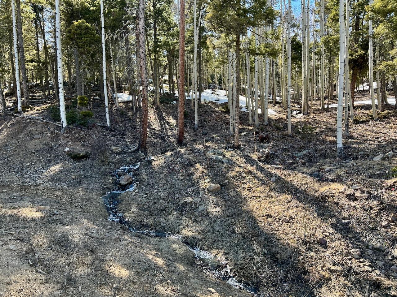 Lot 90 Zia Rd, Angel Fire, New Mexico image 6