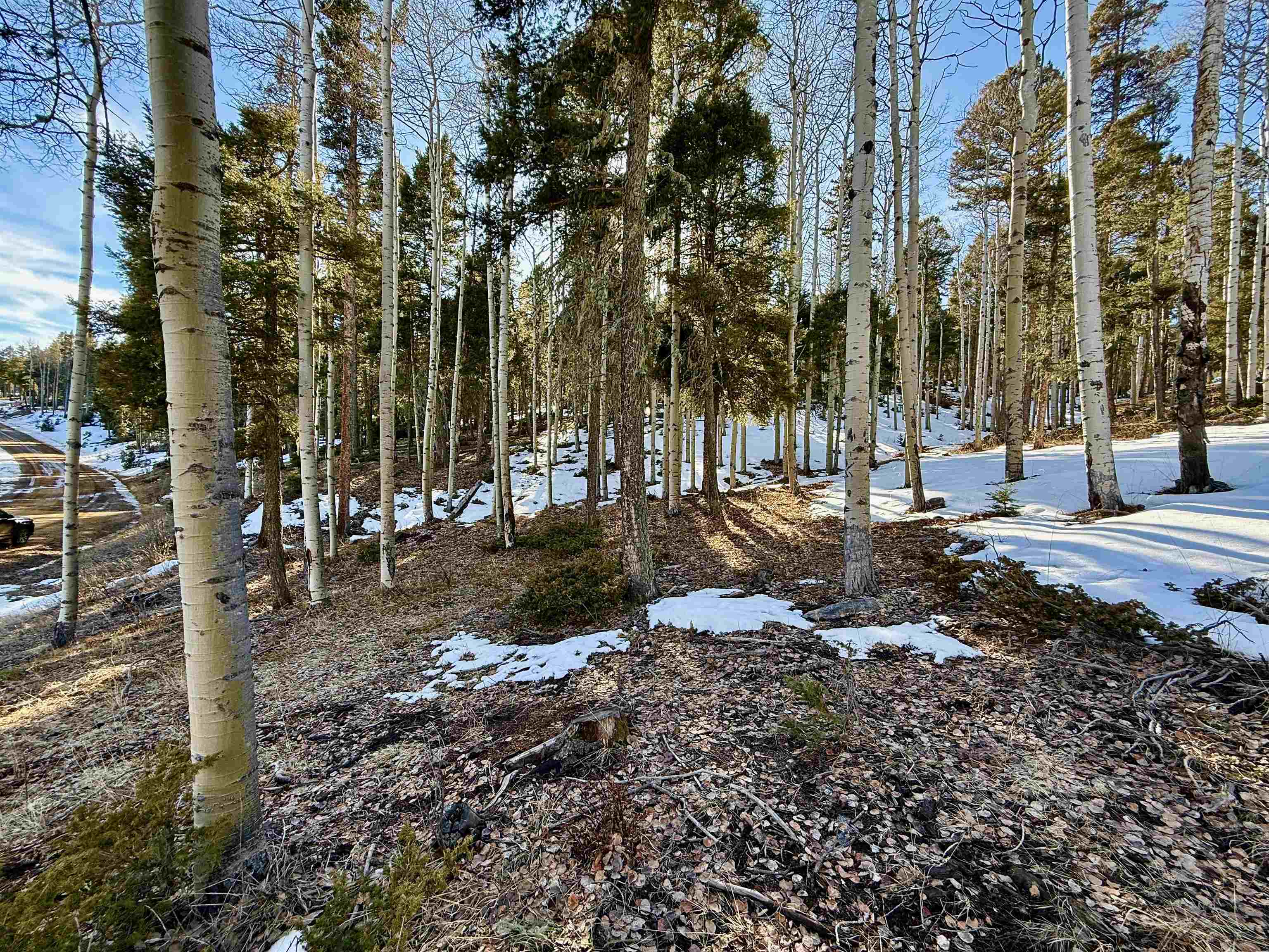 Lot 90 Zia Rd, Angel Fire, New Mexico image 21