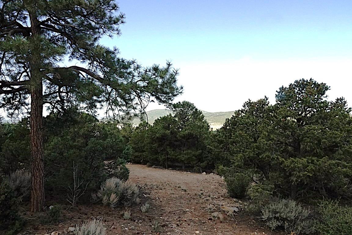 61 Upper Penabete, Questa, New Mexico image 2