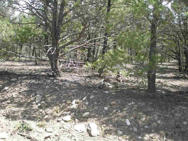61 Upper Penabete, Questa, New Mexico image 8