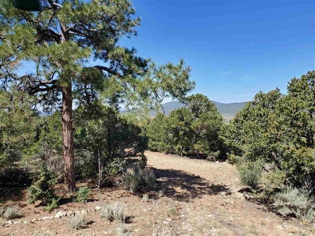 61 Upper Penabete, Questa, New Mexico image 1