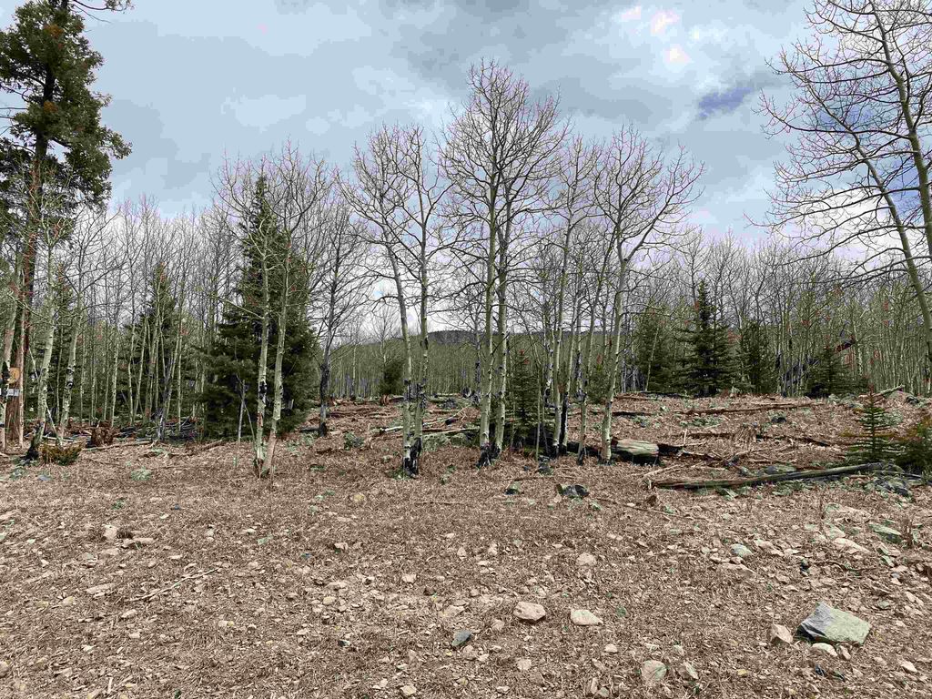 Photo of El Camino Real, Angel Fire, NM 87710 (MLS # 114746)