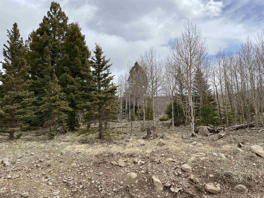 Photo of El Camino Real, Angel Fire, NM 87710 (MLS # 114746)