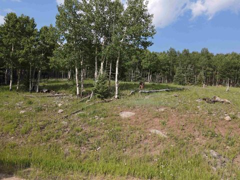 Vacant Land For Sale - El Camino Real<br/> Angel Fire, NM 87710