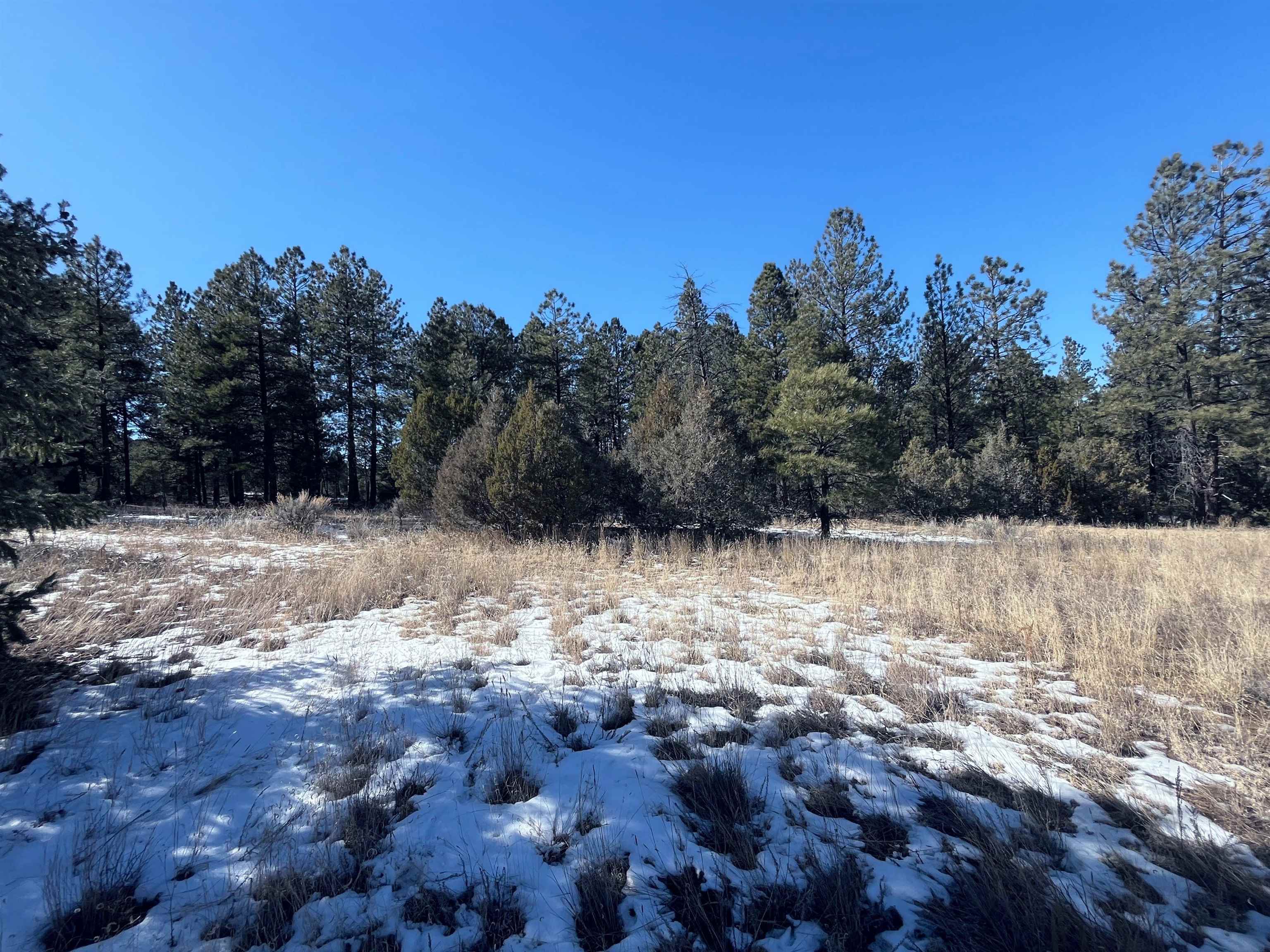 TBD Old Red River Rd, Questa, New Mexico image 28