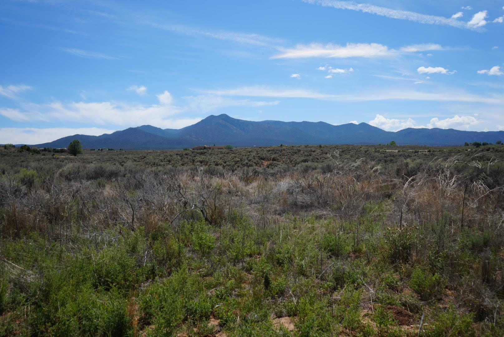 Lot 42 Baird, Ranchos de Taos, New Mexico image 9