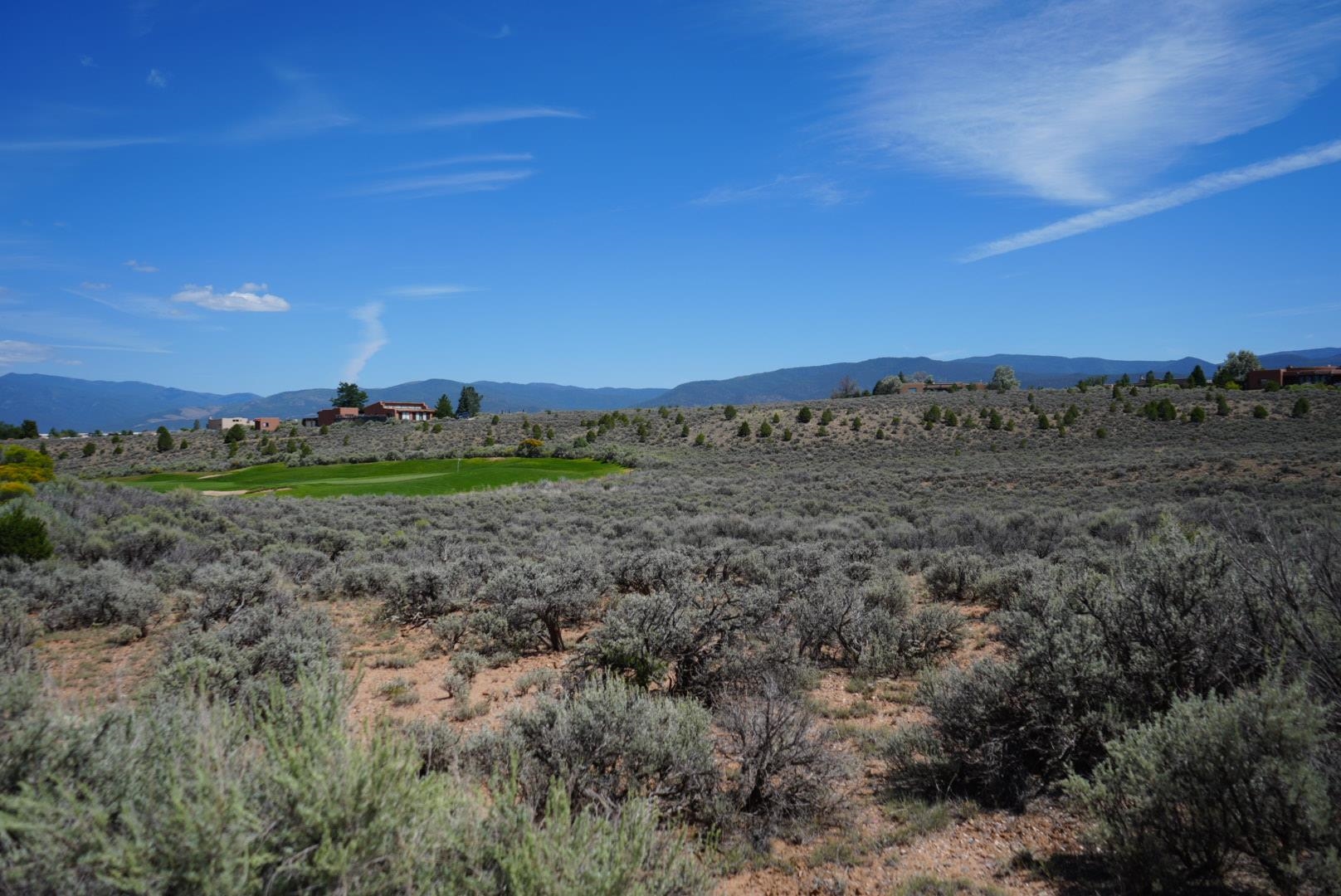 Lot 42 Baird, Ranchos de Taos, New Mexico image 10