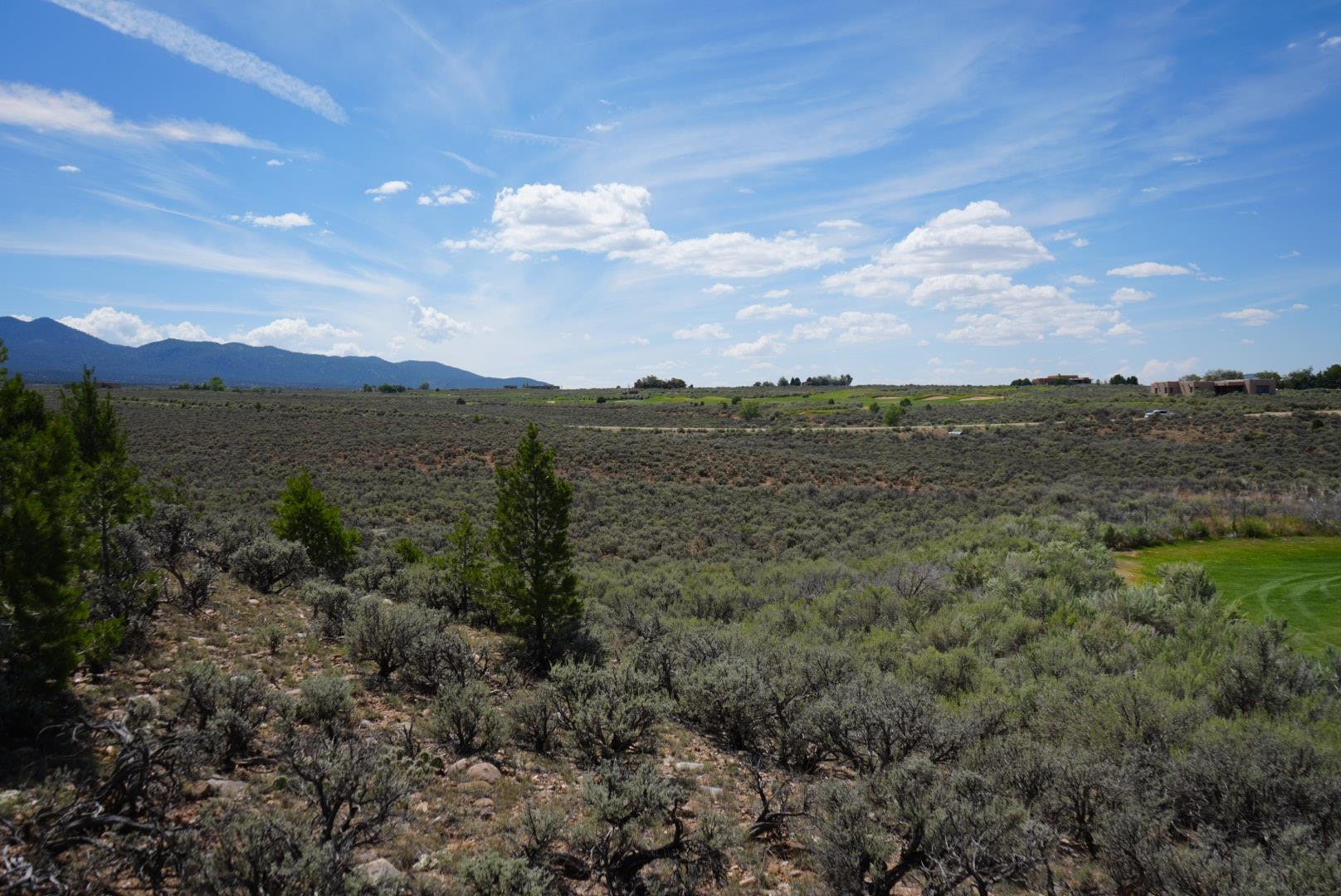 Lot 42 Baird, Ranchos de Taos, New Mexico image 7