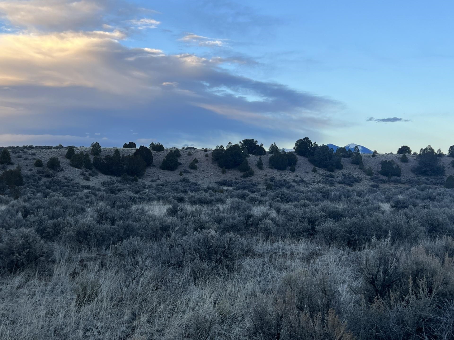 Lot 10M Ranchos Orchard, Ranchos de Taos, New Mexico image 5