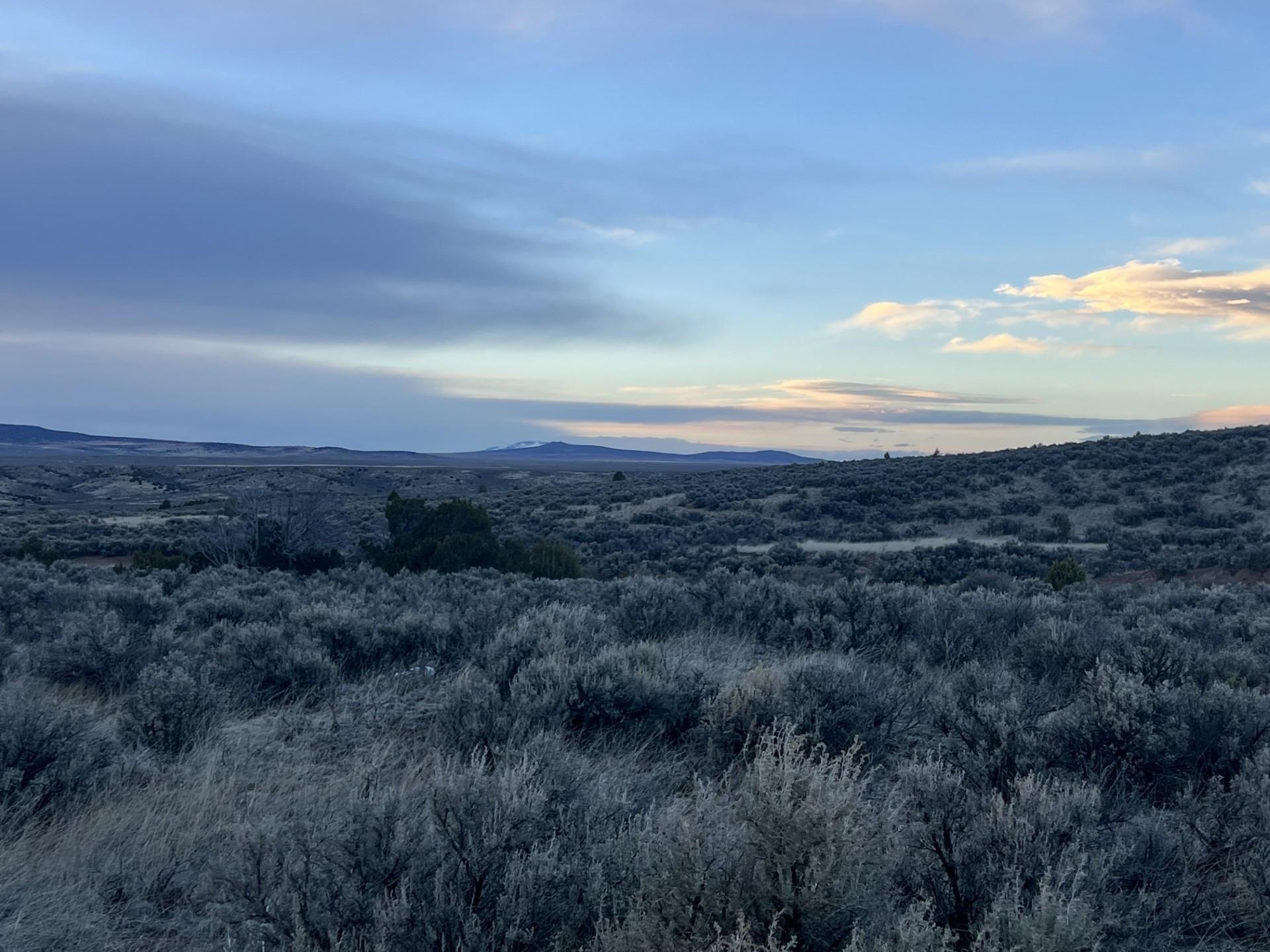 Lot 10M Ranchos Orchard, Ranchos de Taos, New Mexico image 2