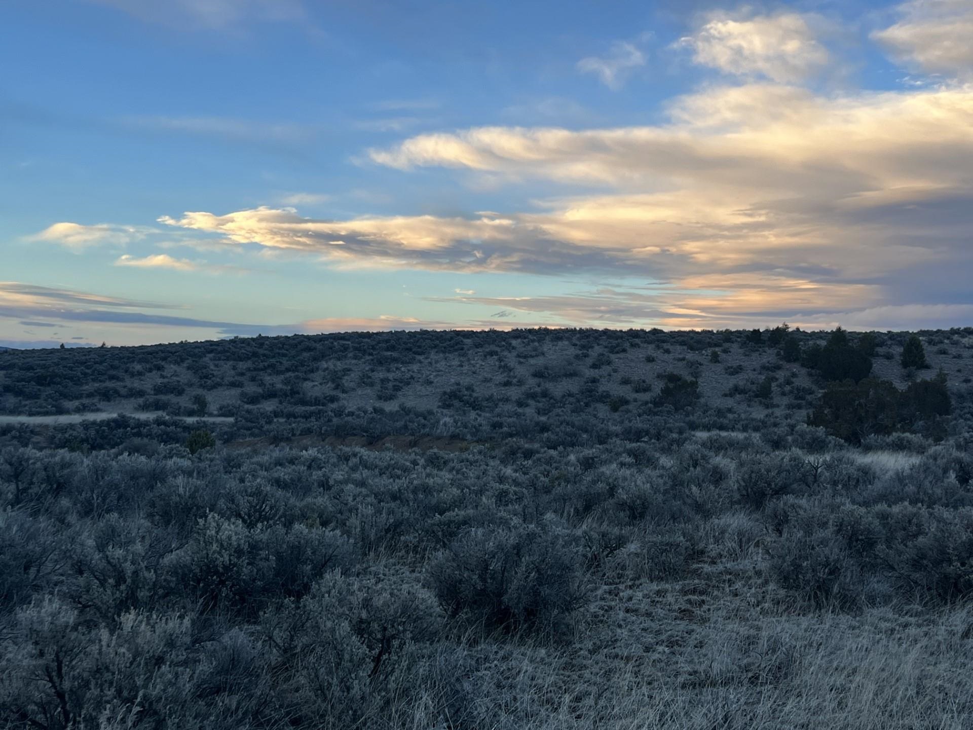 Lot 10M Ranchos Orchard, Ranchos de Taos, New Mexico image 4