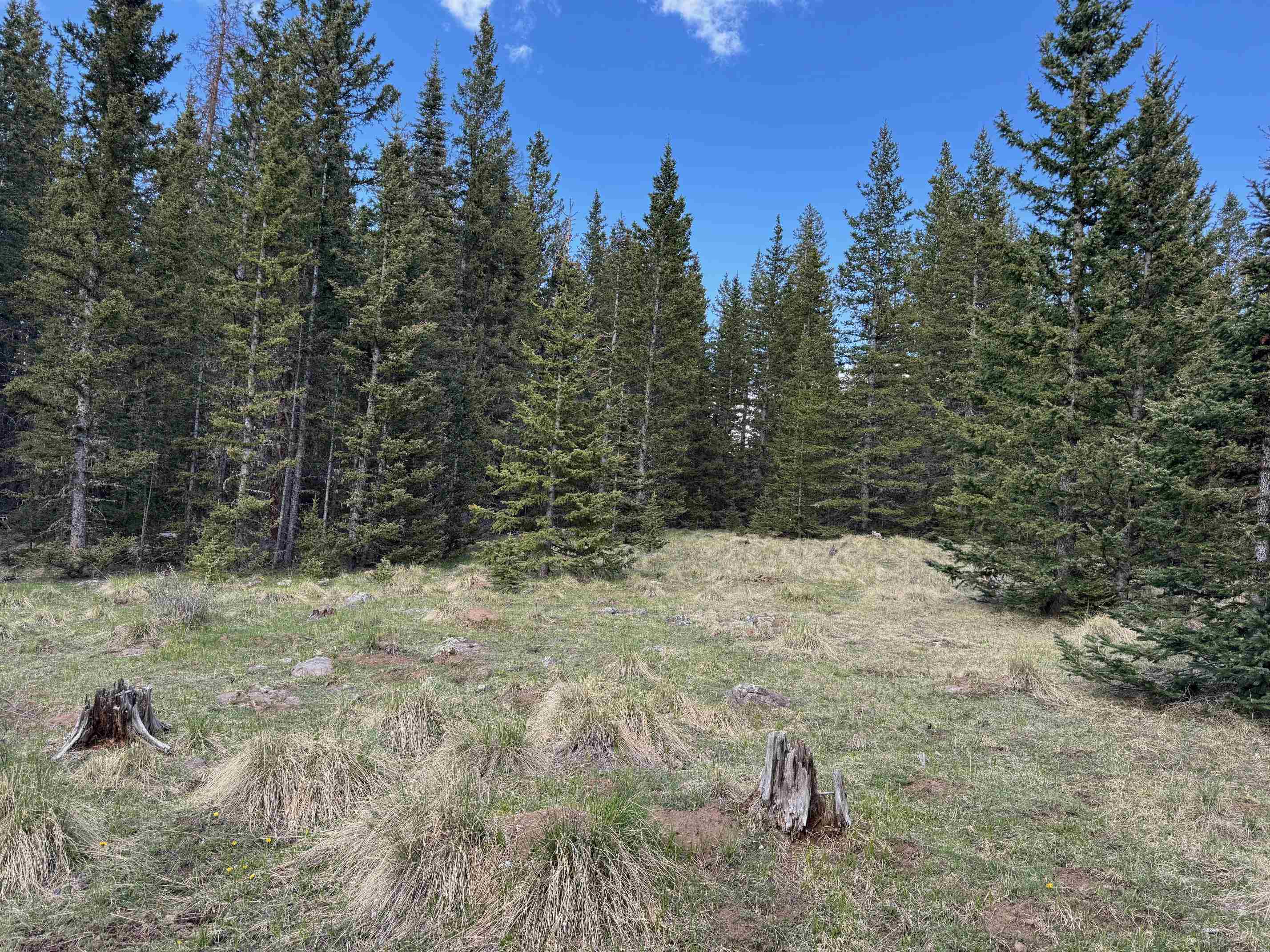 Lot 74 Happy Way, Angel Fire, New Mexico image 20