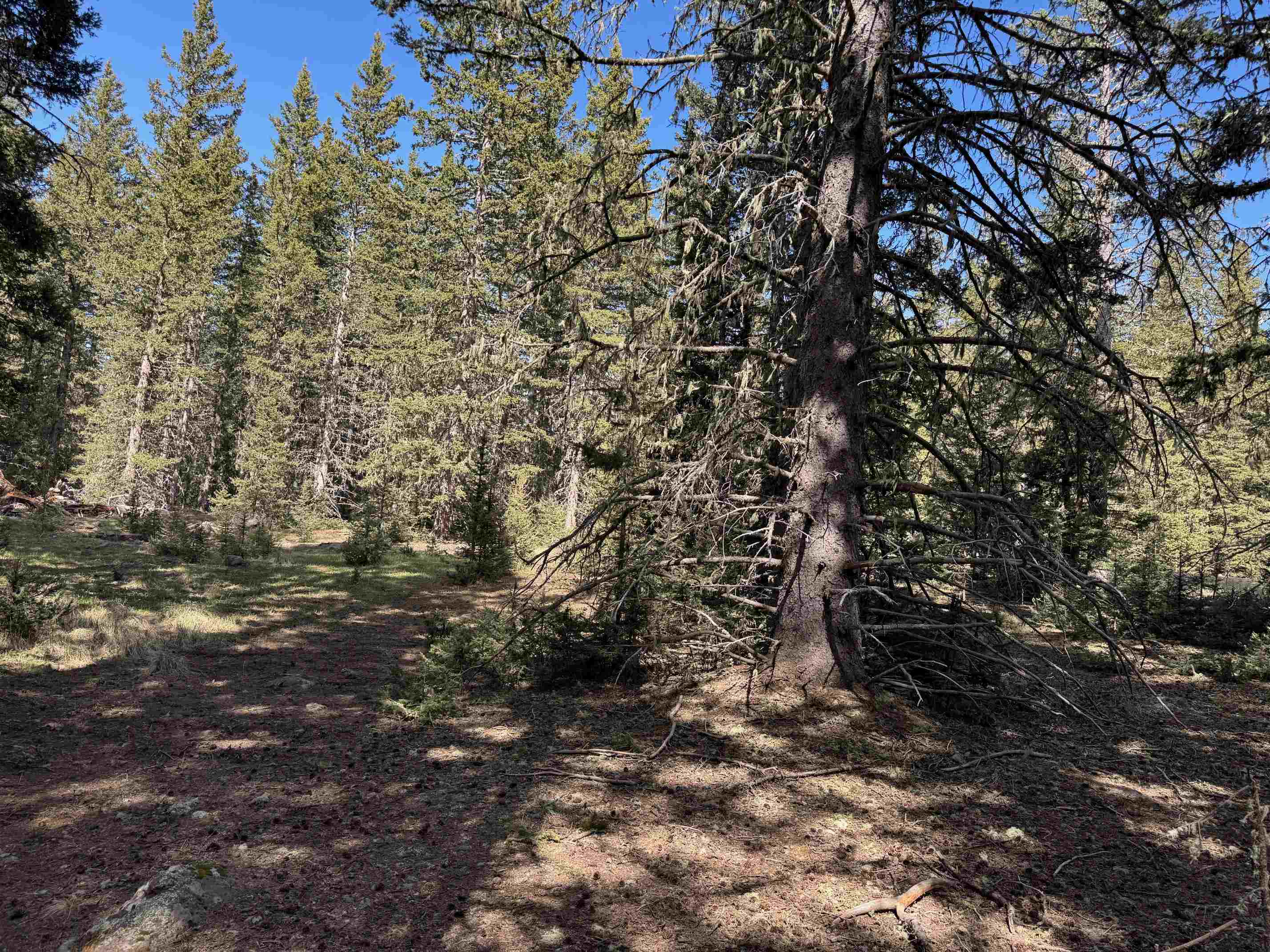 Lot 74 Happy Way, Angel Fire, New Mexico image 10