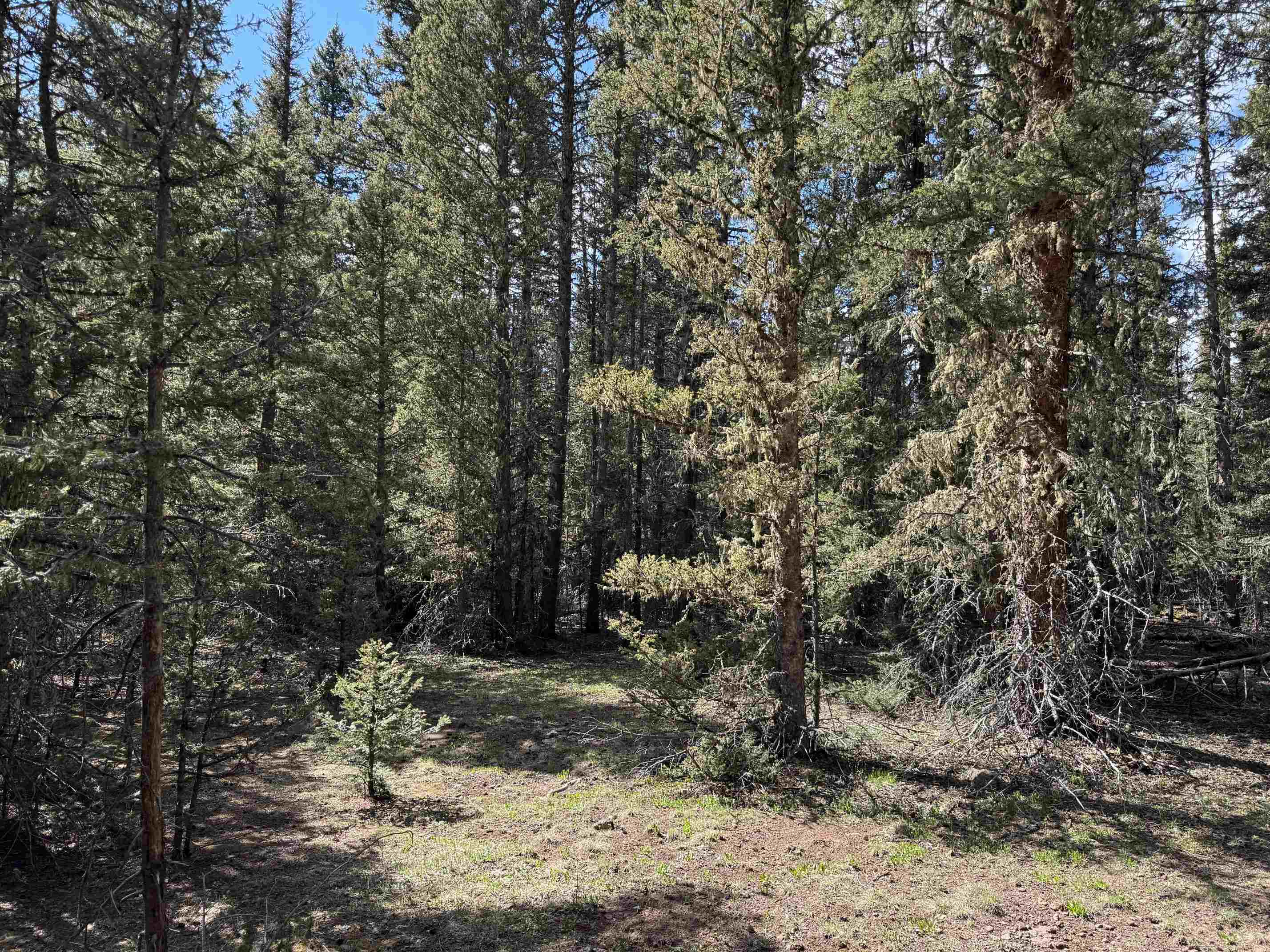Lot 74 Happy Way, Angel Fire, New Mexico image 17