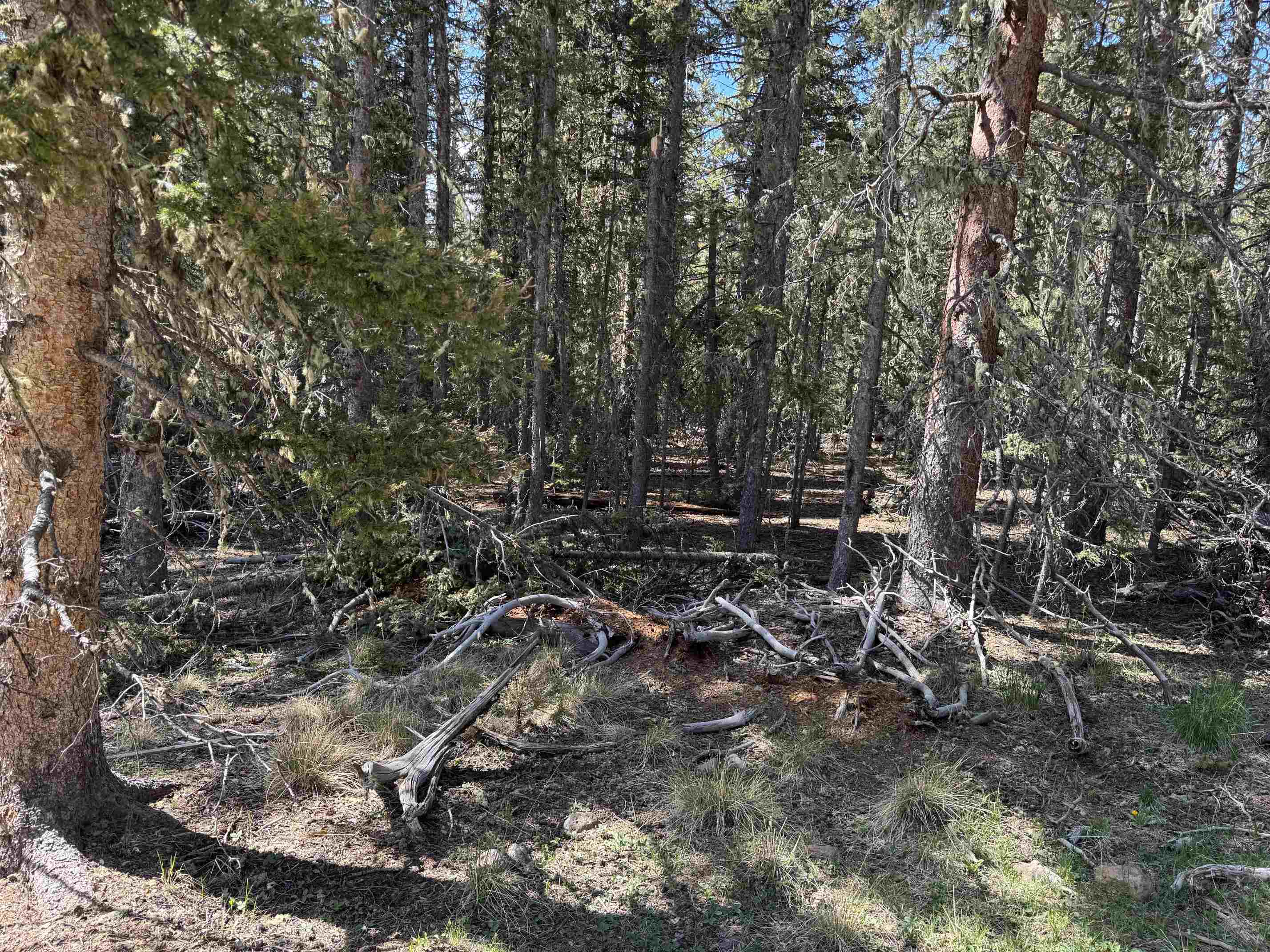 Lot 74 Happy Way, Angel Fire, New Mexico image 7